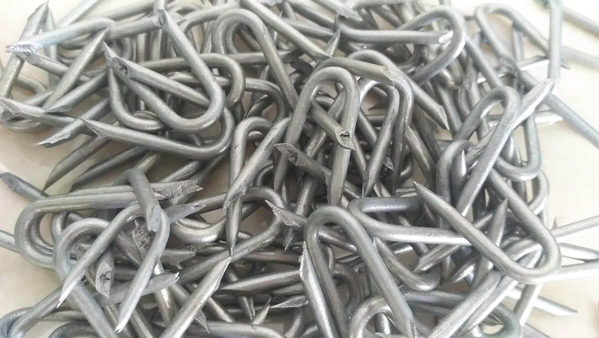 Grampos galvanizados